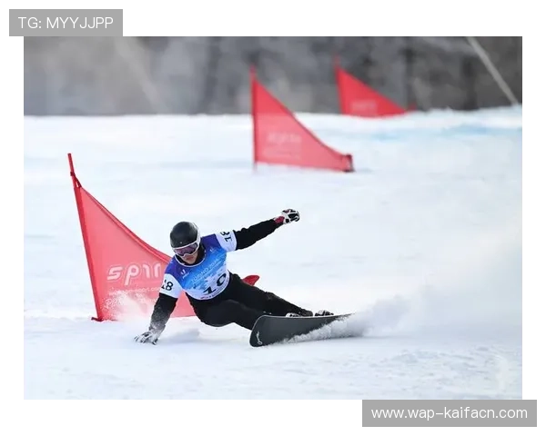 K8体育大全涵盖丰富的体育知识库满足不同运动爱好者的需求